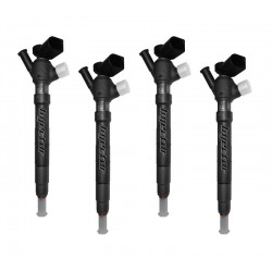 04L130277Q DELPHI Vstreky použité