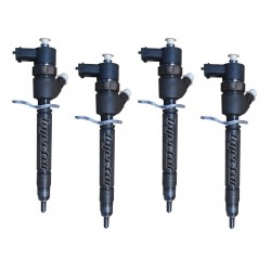 0445110251 BOSCH Vstreky použité