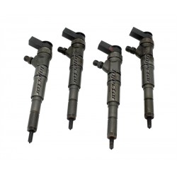 0445110209 BOSCH Vstreky použité