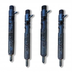 Renault Kangoo 1.5 dCi 55 kW 75 HP DELPHI Vstreky Použité