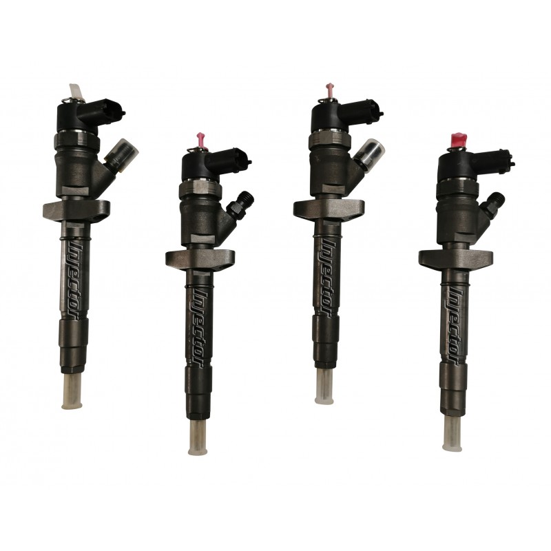 Renault Vel satis 2.2 dCi 102 kW 140 HP BOSCH Vstreky