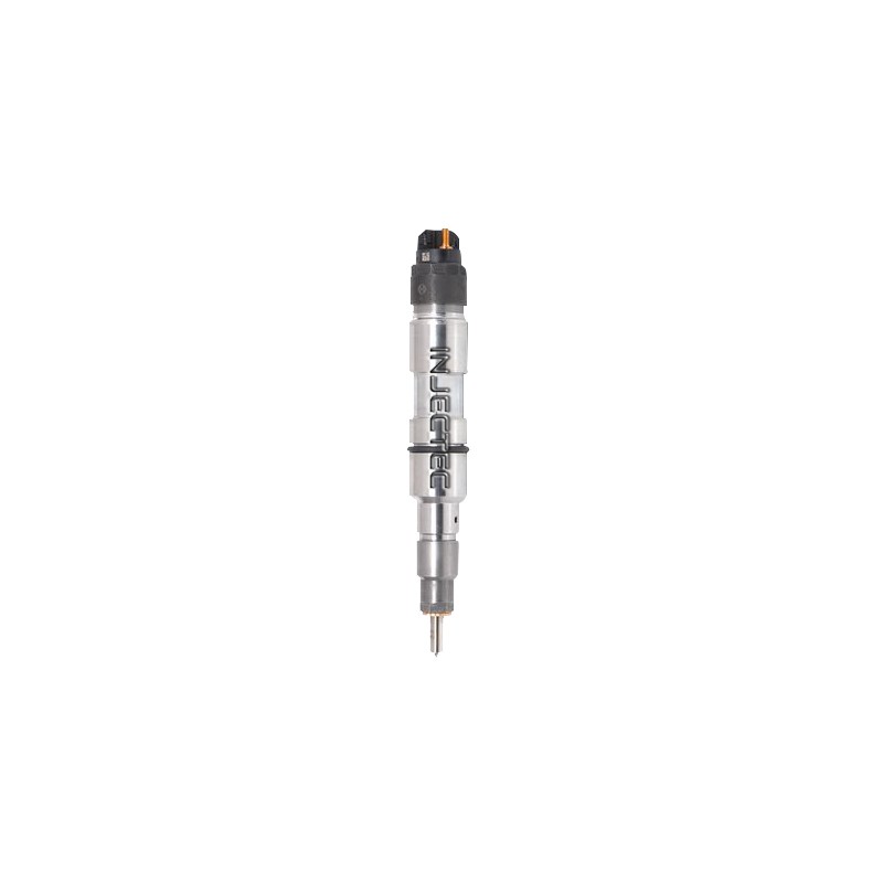 MAN TGM 6.9 d New Bosch Injector