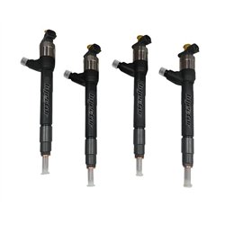 55570012 DENSO Vstreky nové