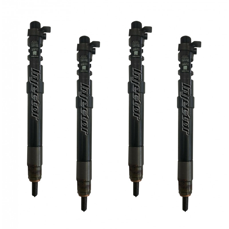 Citroen C4 picasso 2.0 HDi 110 kW 150 HP DELPHI Vstreky Použité