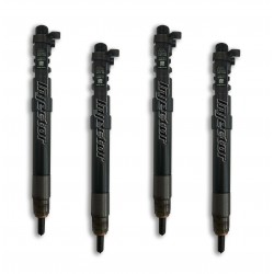 Citroen C4 picasso 2.0 HDi 110 kW 150 HP DELPHI Vstreky Použité