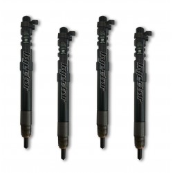 Citroen C4 picasso 2.0 HDi 110 kW 150 HP DELPHI Vstreky Použité